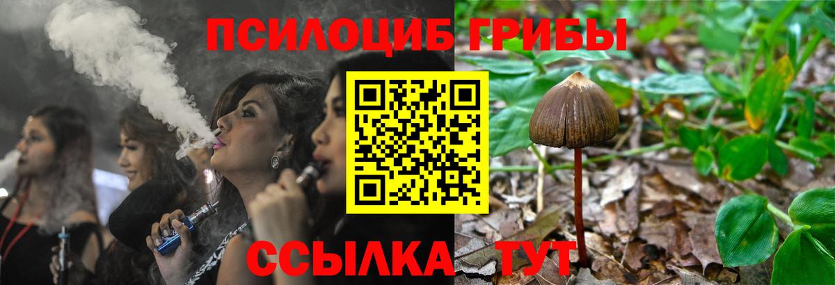 Казань  Галлюциногенные грибы Cubensis  Вход с VPN 